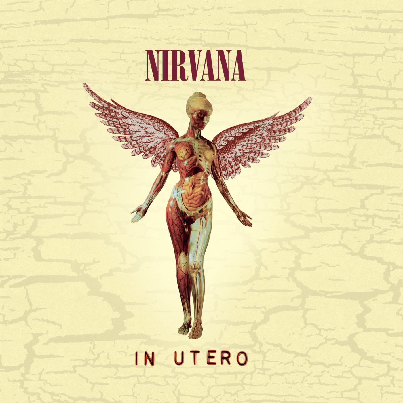 NIRVANA レコード 高額買取