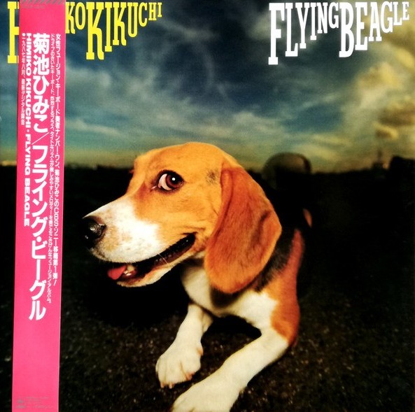 菊池ひみこ - Flying Beagle  28AH2240  買取金額:￥36000-